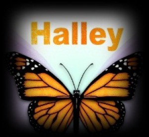 halley.jpg